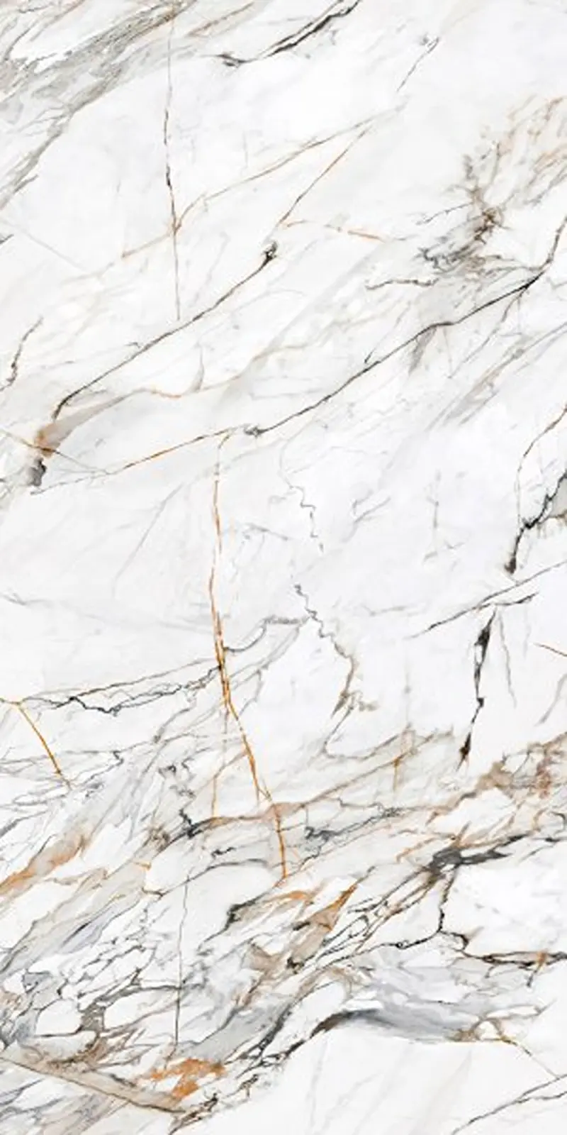 Lamar Calacatta Luxe - Gramer LTD