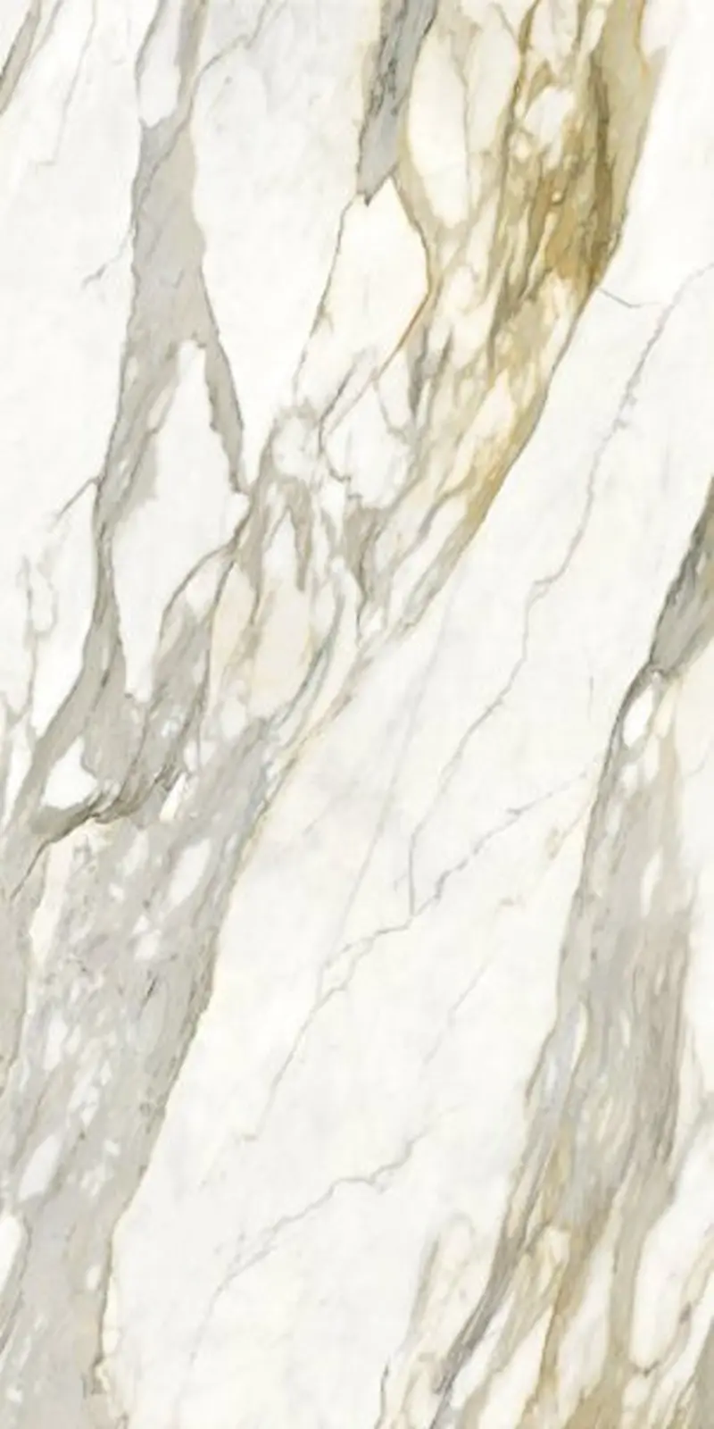 Calacatta Oro - Gramer LTD